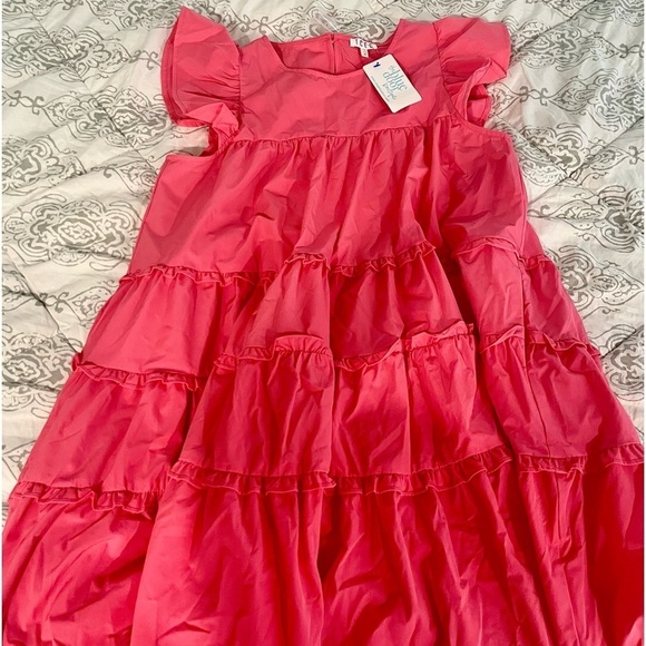 TCEC Pink Ruffle Dress - Picture 3 of 11